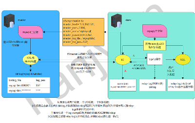 MySQL主从复制